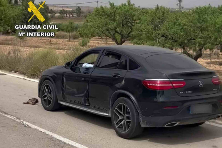 Crueldad animal: lanza a un gato desde un coche en movimiento y lo atropella varias veces en Murcia