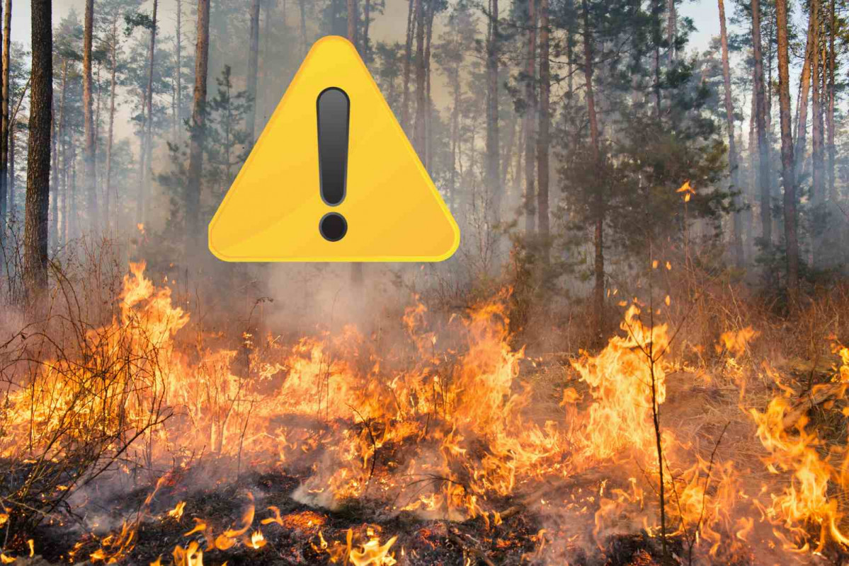 Incendios, alerta   CANVA
