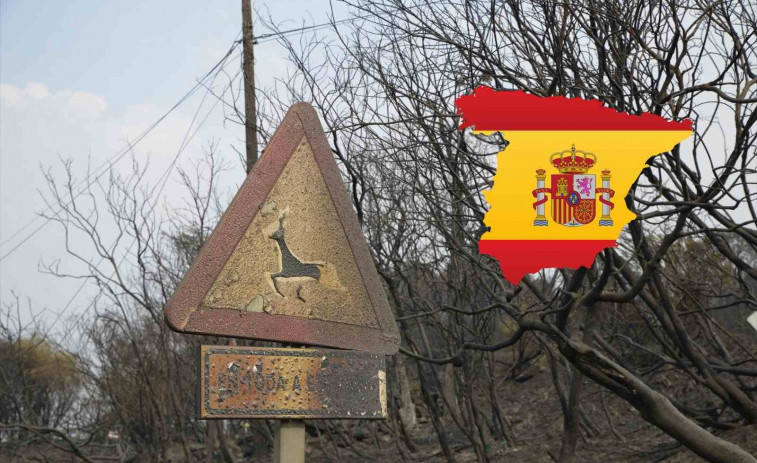 España arde: los incendios devoran miles de hectáreas y suman ya tres muertos