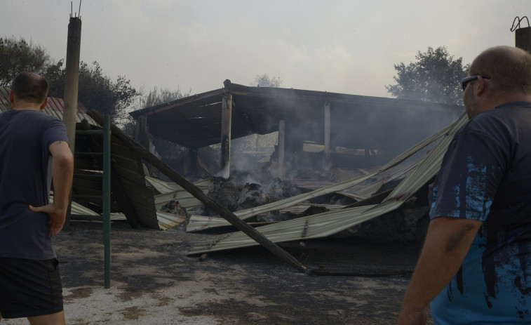 De las llamas al juzgado: así son las condenas que enfrentan los autores de incendios