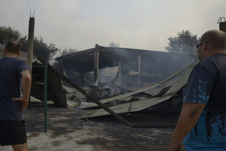 De las llamas al juzgado: así son las condenas que enfrentan los autores de incendios