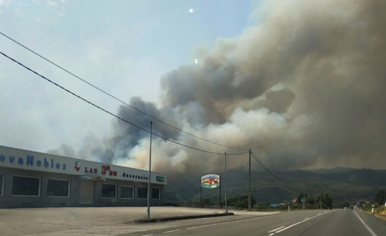 Guía esencial para sobrevivir a un incendio: consejos médicos y estrategias que pueden salvar vidas