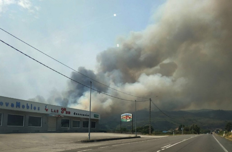 Guía esencial para sobrevivir a un incendio: consejos médicos y estrategias que pueden salvar vidas