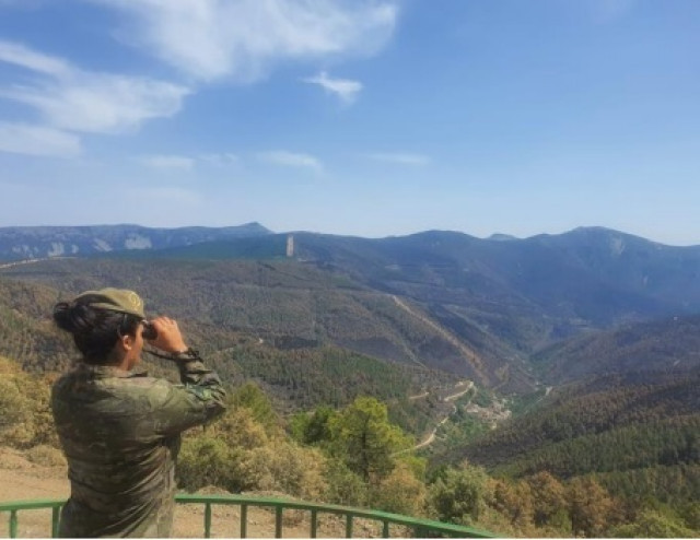 La Fiscalía investiga a municipios por no tener planes de prevención de incendios