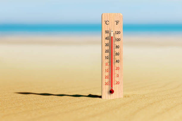 Catalunya blinda nueve espacios naturales y activa la alerta por la ola de calor y el riesgo extremo de incendios