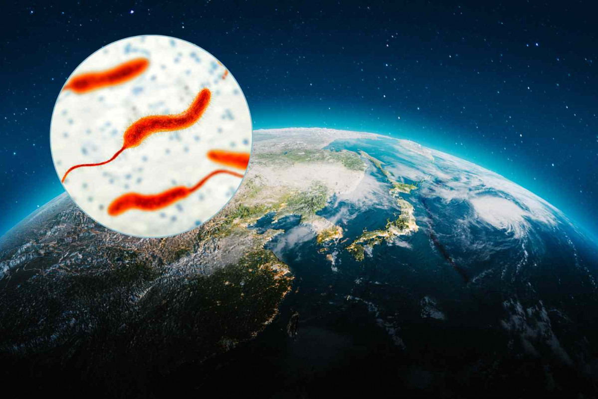 Planeta Tierra; imagen de la bacteria que provoca el Cólera