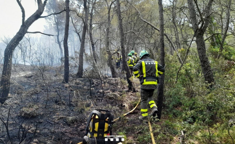 Un incendio quema 6.245 metros cuadrados en Valls