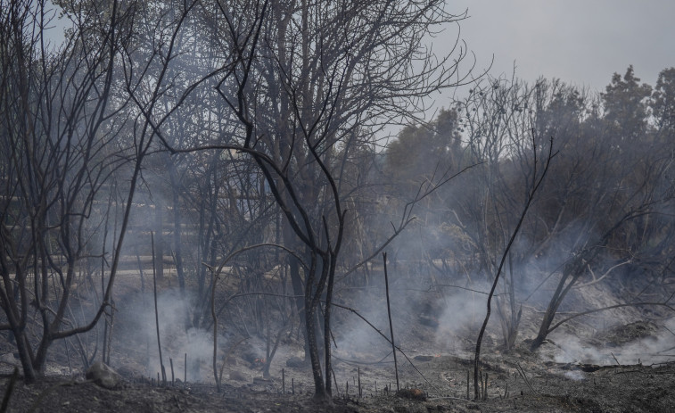 Los Mossos d'Esquadra identifican a un hombre como presunto pirómano de 4 incendios