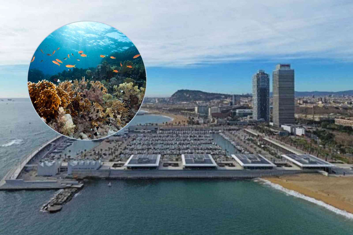Port Olímpic de Barcelona