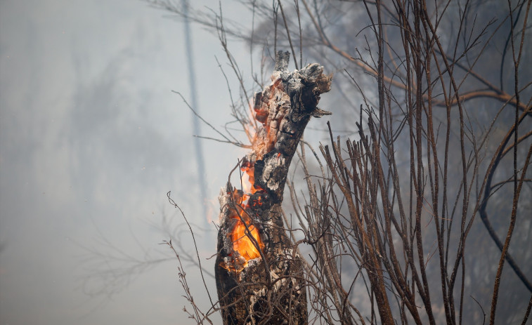 Un grupo de mossos se desplaza hasta Galicia para colaborar en la zona arrasada por los incendios