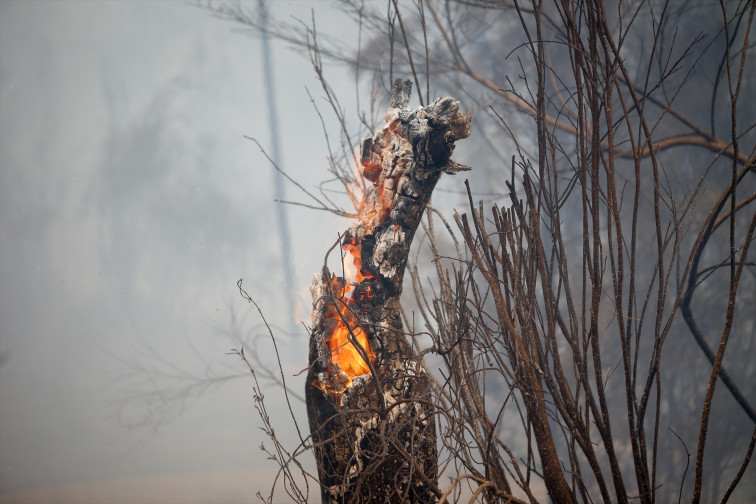 Un grupo de mossos se desplaza hasta Galicia para colaborar en la zona arrasada por los incendios