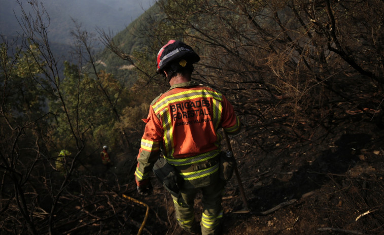 Precariedad y condiciones laborales inestables: así es la vida de un bombero forestal