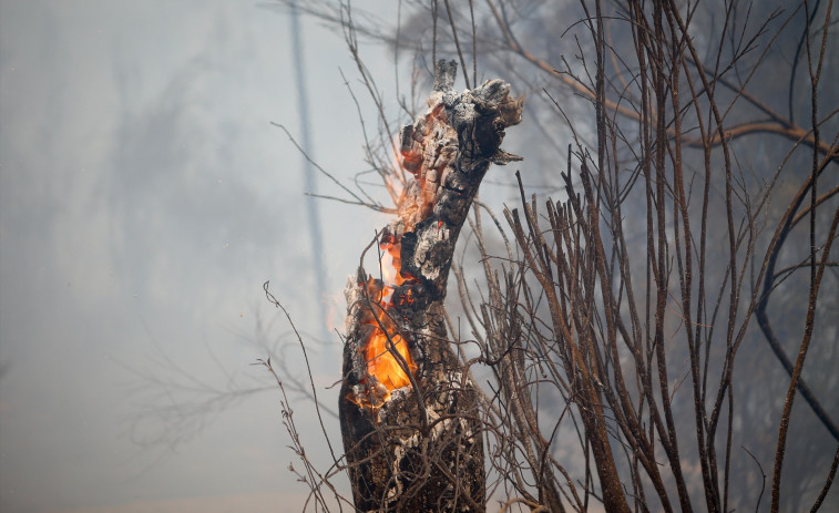 Más de 20 focos graves activos mientras la meteorología da un respiro en los incendios que queman en España
