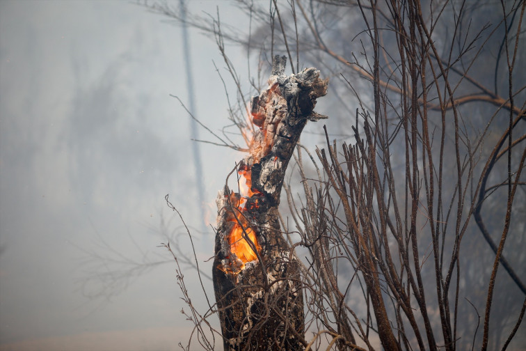 Más de 20 focos graves activos mientras la meteorología da un respiro en los incendios que queman en España