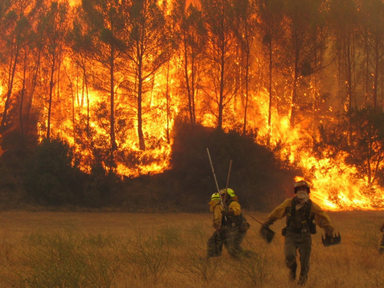 Bomberos de primera y forestales de segunda: una injusticia que arde en España