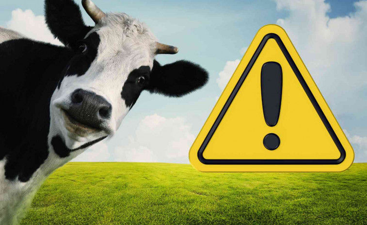 Apuñala vacas y causa incendios: terror en la Garrotxa por un joven conflictivo
