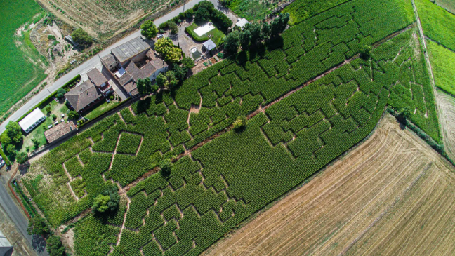 Un plan de película: ¿te atreves entrar en la noche más terrorífica en un laberinto de maíz?