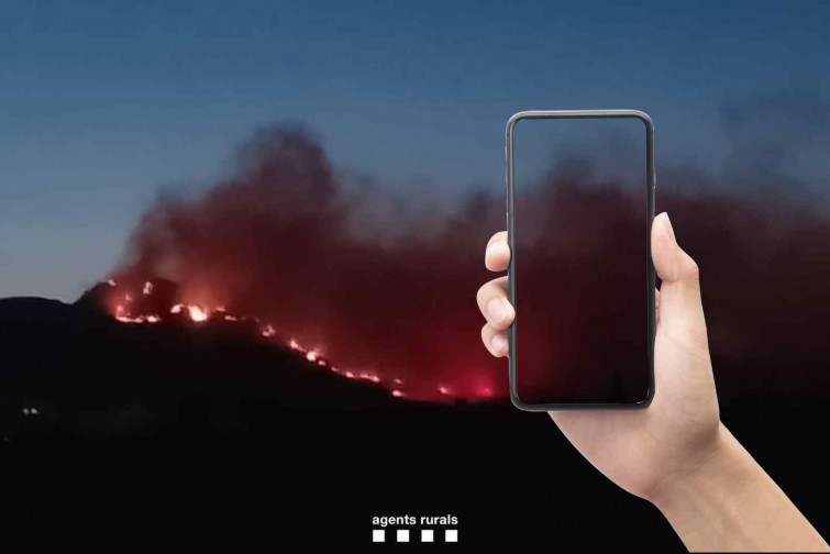 Así puedes salvar un bosque con tu móvil: el método para avisar de los incendios en Catalunya