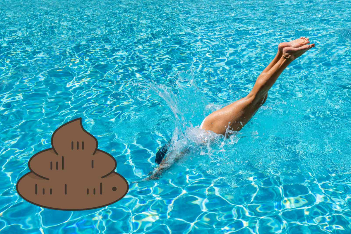 Piscina, heces   LLEIDA
