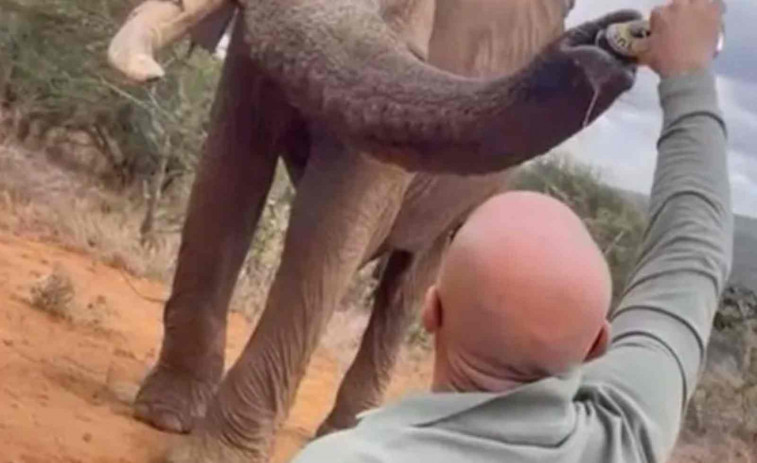VÍDEO | Un turista español da cerveza a un elefante en Kenia y desata la indignación mundial