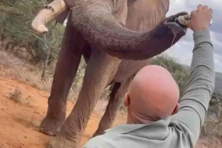 VÍDEO | Un turista español da cerveza a un elefante en Kenia y desata la indignación mundial