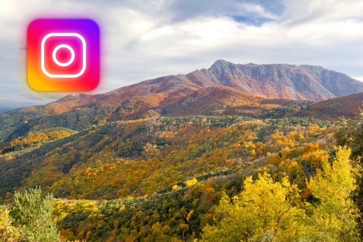 Montseny; Instagram   CANVA