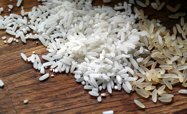 La patronal bloquea la negociación del Convenio Estatal de Industrias de Elaboración del Arroz