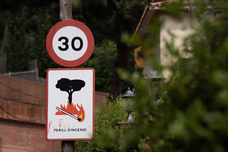 Trasobares (CTFC): Gestionar bosques sale mucho más barato que construir infraestructuras
