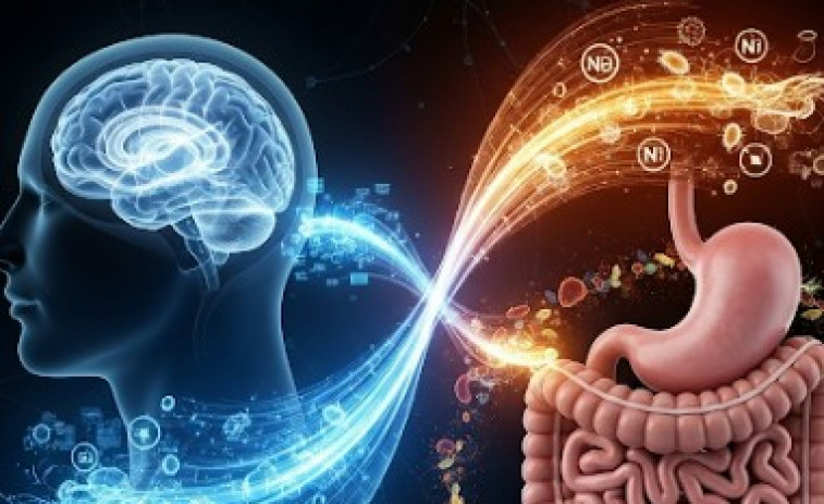La Ciencia del Sueño: una investigación revela cómo el eje intestino-cerebro afecta la calidad del descanso