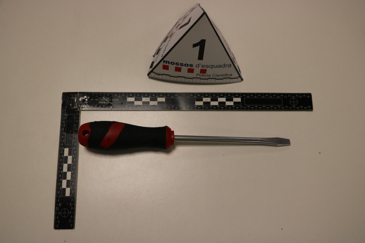 EuropaPress 6943649 destornillador utilizaban mujeres entrar viviendas robaron diversos objetos