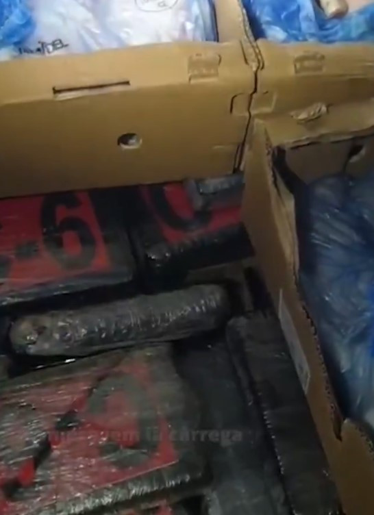 VIDEO | Detenido un camionero  con 350 kilos de droga