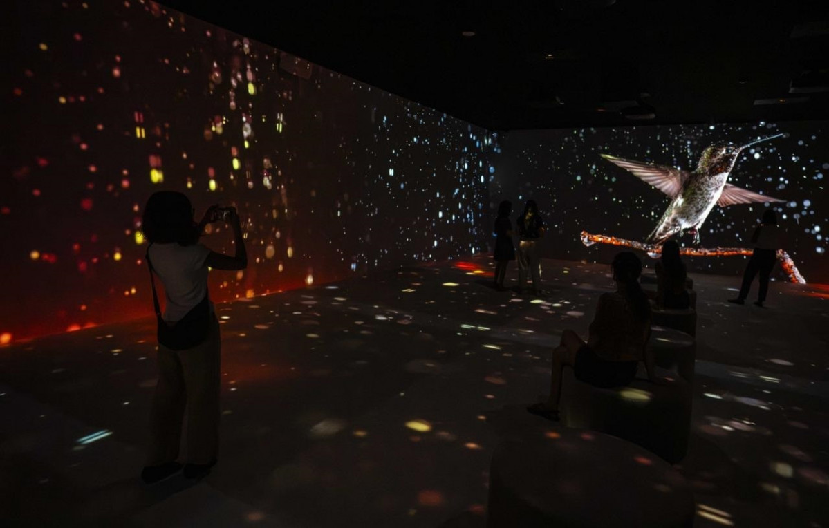 EuropaPress 6961281 exposicion somos naturaleza caixaforum barcelona