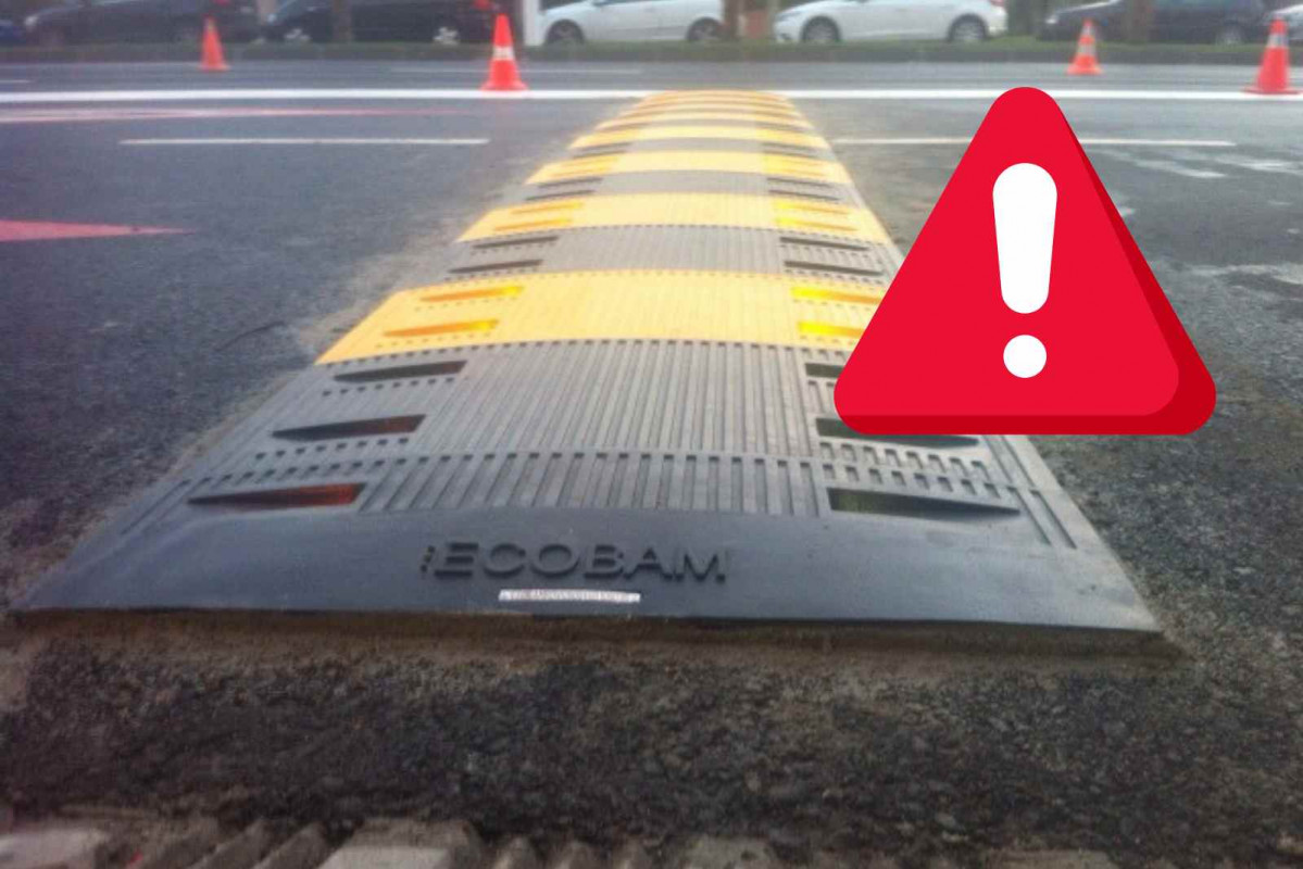 Reductor de velocidad   Ecobam   CANVA