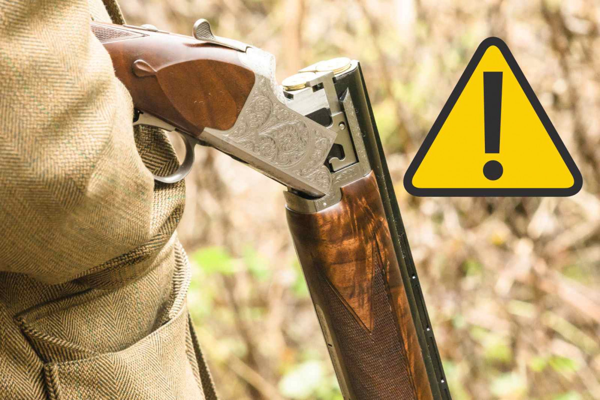 Alerta, escopeta   CANVA