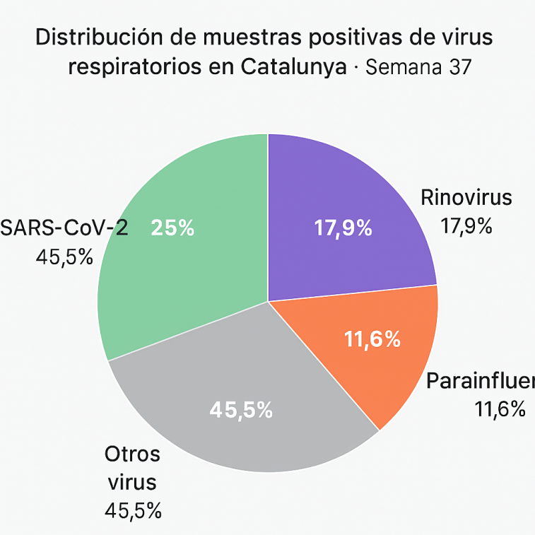Gripe y Covid-19, en el punto de mira: comienza en Catalunya la gran campaña de otoño