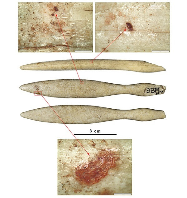 Hallan el objeto de marfil de hipopótamo 
