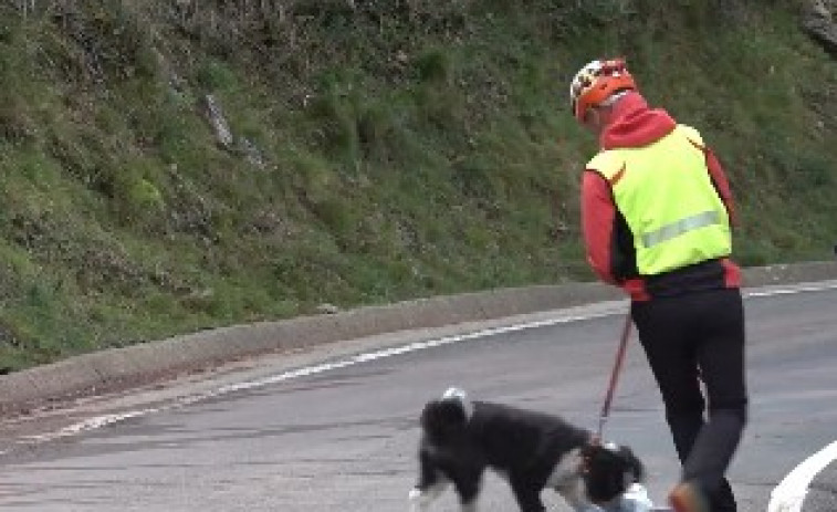 Drones y perros logran el rescate: más de 120 efectivos encuentran al buscador de setas desaparecido en Gombrèn