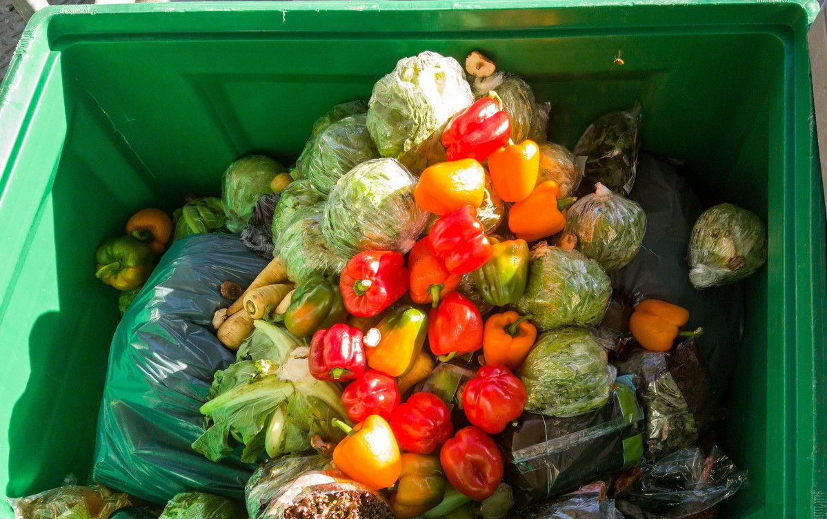 EuropaPress 4067794 ciclo sostenibiliad alimentaria abordara coexistencia hambre obesidad (2)
