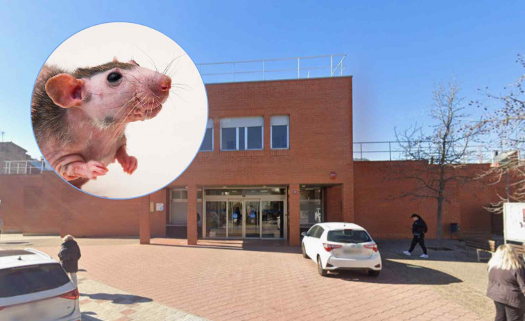 Alerta sanitaria en Girona: Detectan ratas en la cocina del CAP de Santa Coloma de Farners