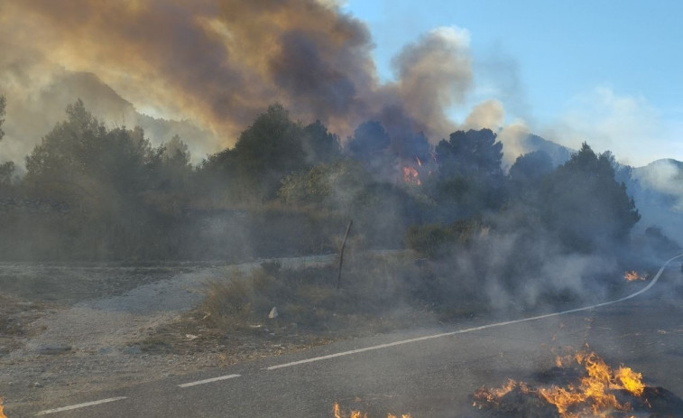 VIDEO | Tiros frente al Parlamento de Serbia: un hombre herido y carpa incendiada