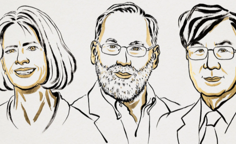 El Nobel de Medicina 2025 premia los descubrimientos que revolucionan las enfermedades autoinmunes