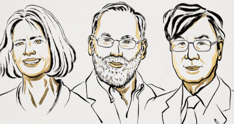 El Nobel de Medicina 2025 premia los descubrimientos que revolucionan las enfermedades autoinmunes