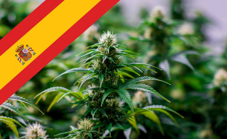 España da luz verde al uso terapéutico del cannabis: descubre quién podrá acceder y cuándo empezará a recetarse