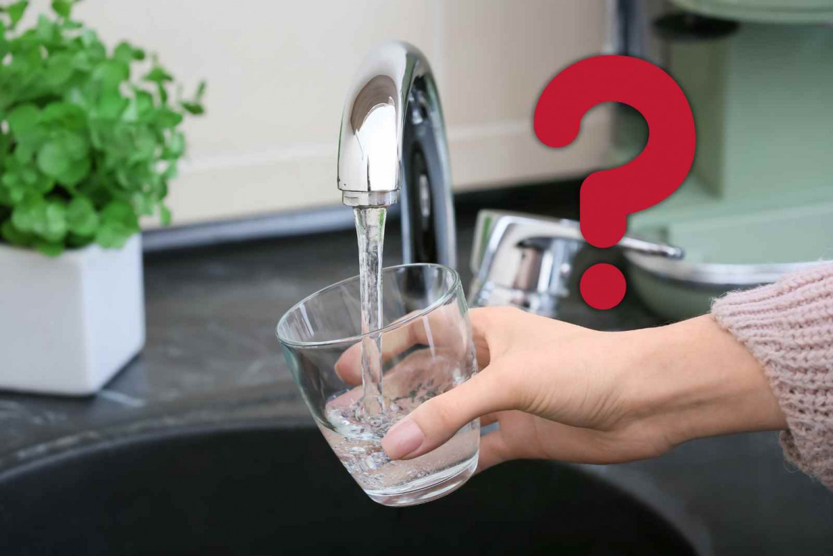 Grifo, agua   CANVA