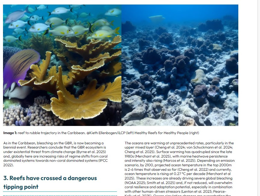 Reefes dangerous