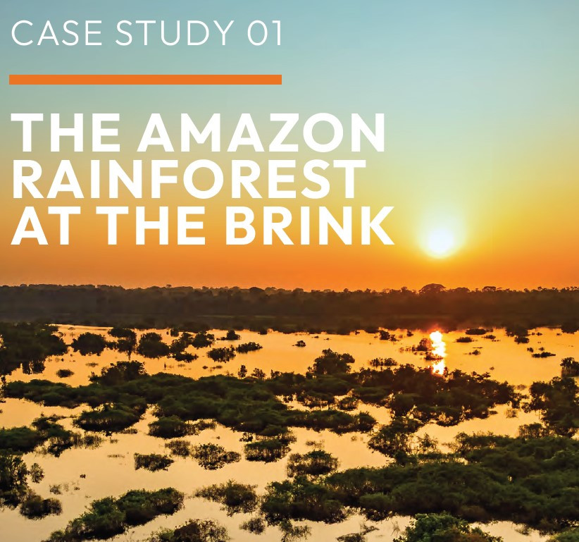 Amazon
