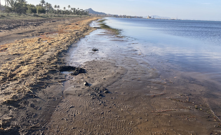 El Mar Menor  se convierte en un depósito de metales tóxicos