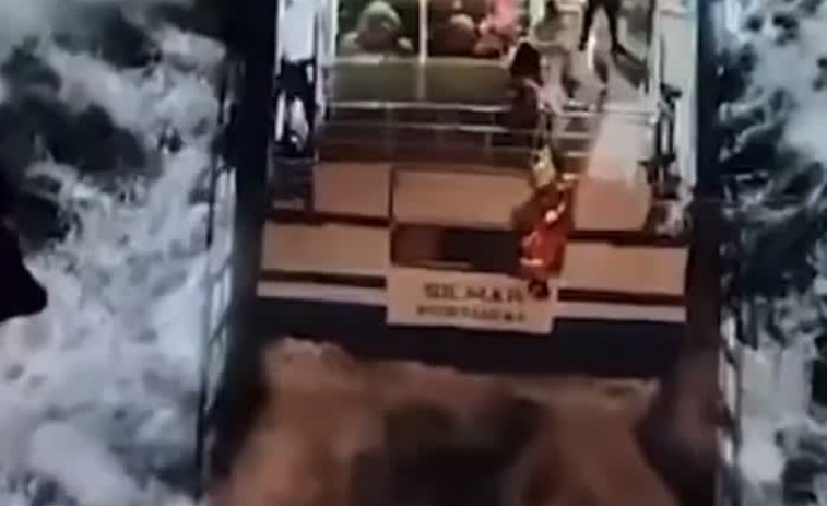 VIDEO |Rescate de película: una familia  salvada tras ataque de orcas al yate