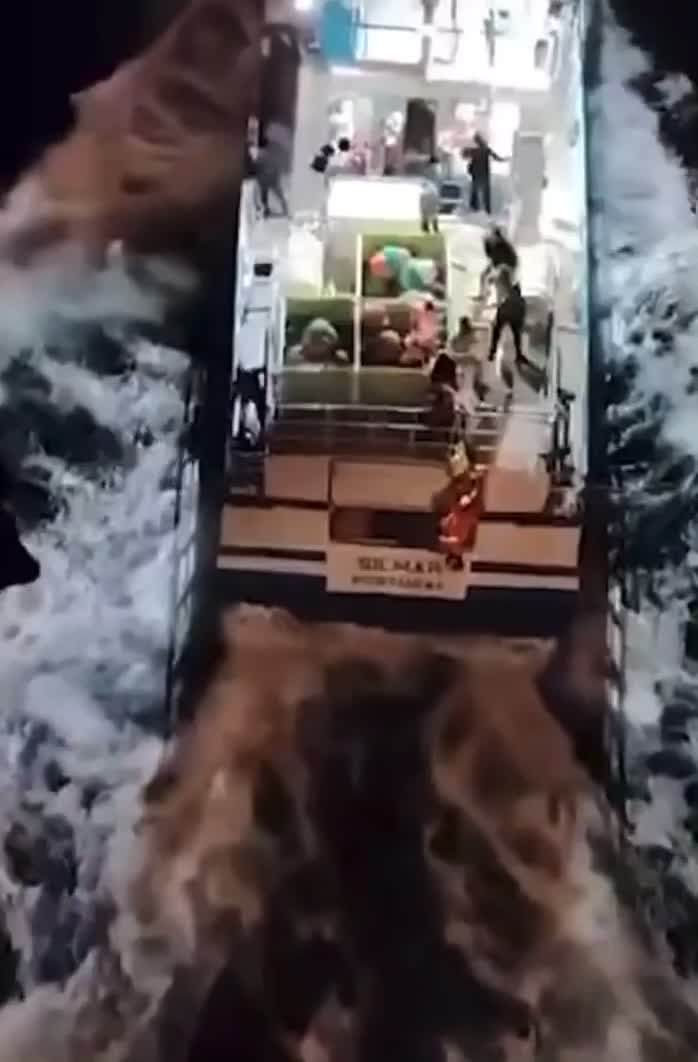 VIDEO |Rescate de película: una familia  salvada tras ataque de orcas al yate