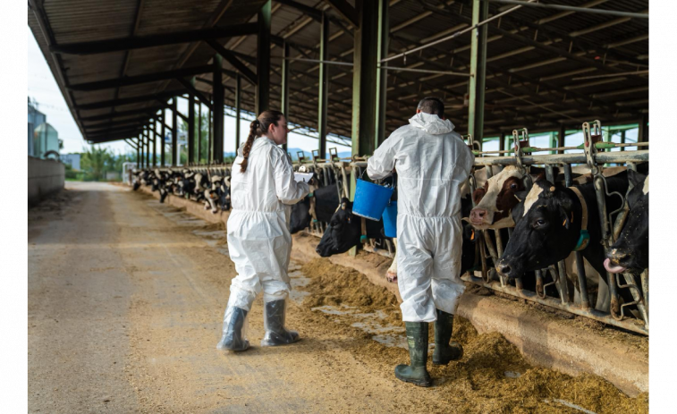 Alerta sanitaria en Girona, detectado un nuevo caso de DNC que amplía el radio de 50km